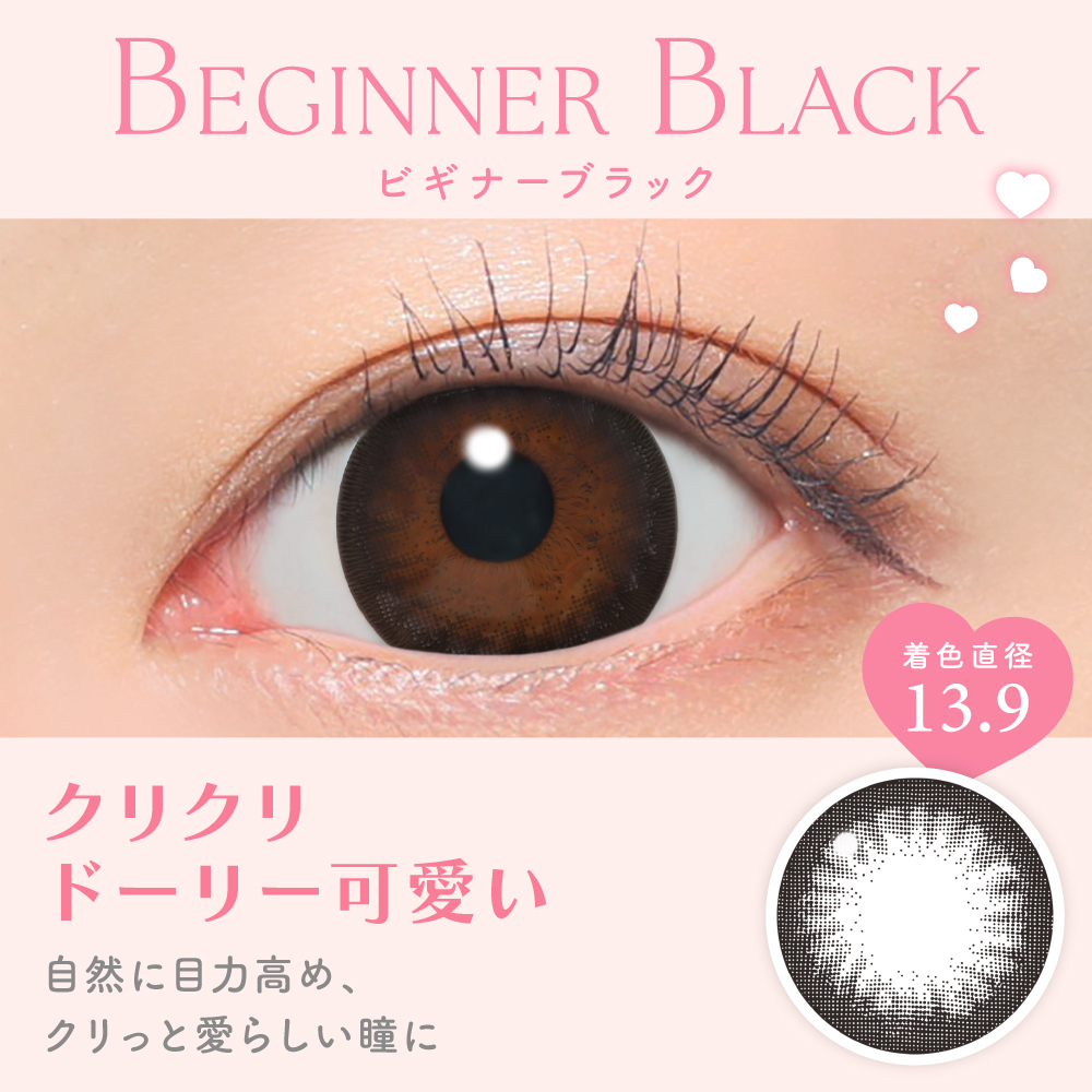 ビギナーブラック クリクリドーリー可愛い 着色直径13.9