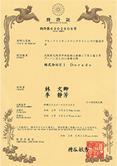 特許取得済み 第6902808号