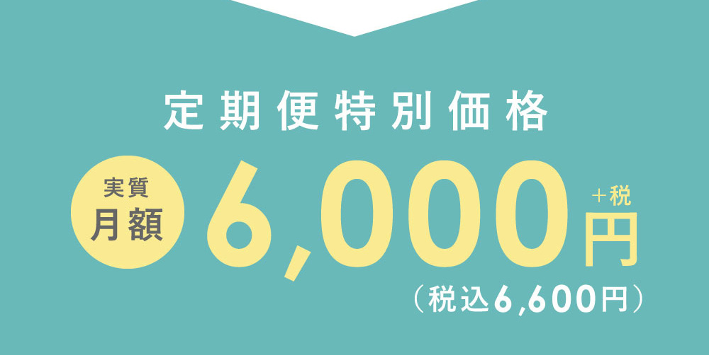 定期便特別価格 実質月額 6,000円+税（税込6,600円）