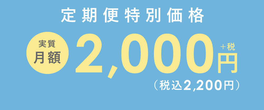 定期便特別価格 実質月額 2,000円+税（税込2,200円）