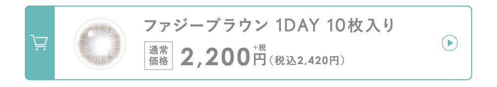 ファジーブラウン 1DAY 10枚入り 通常価格 2,000円（税込2,200円）