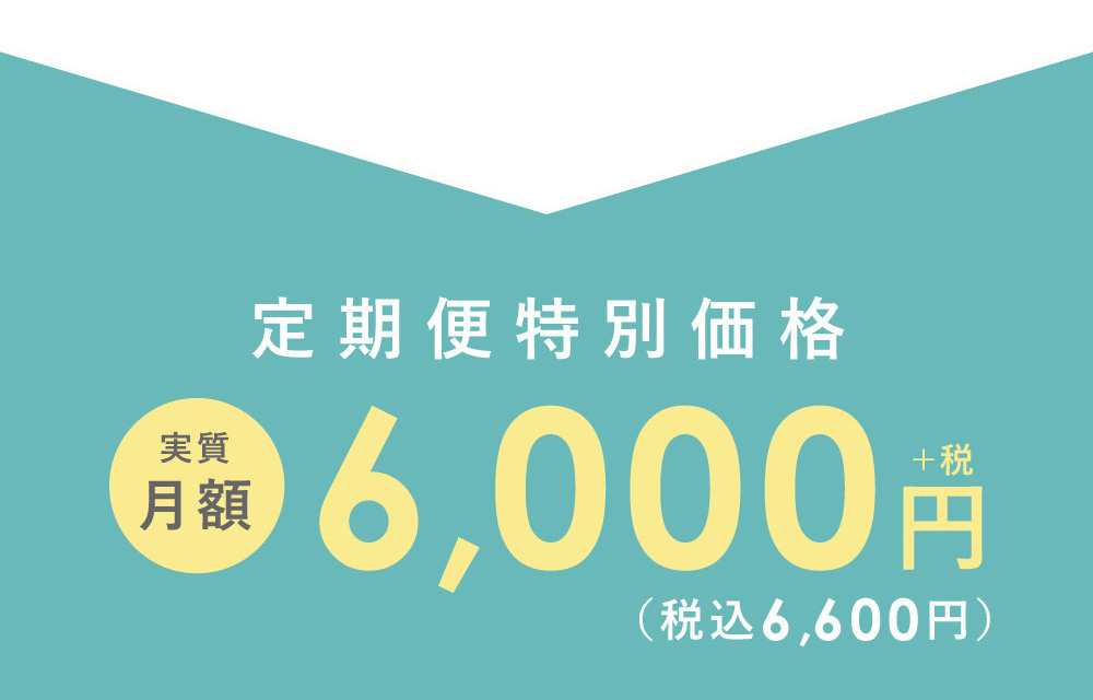 定期便特別価格 実質月額 6,000円+税（税込6,600円）