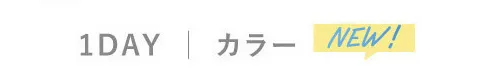 1DAY カラー