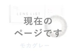 LENS LiST シリコーン 1day モカグレー