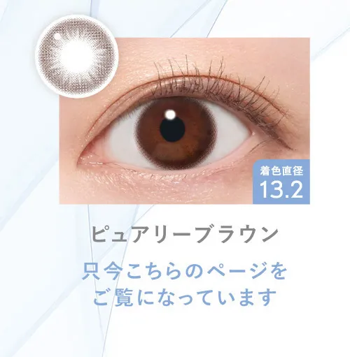 ピュアリーブラウン［只今こちらのページをご覧になっています］