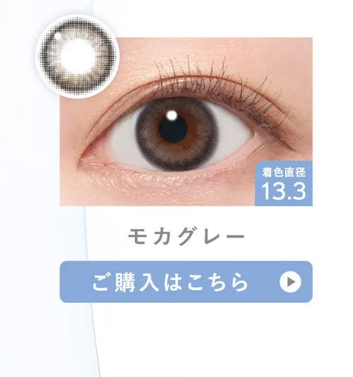 モカグレー ご購入はこちら