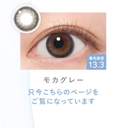 モカグレー［只今こちらのページをご覧になっています］