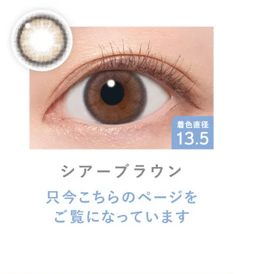 シアーブラウン［只今こちらのページをご覧になっています］
