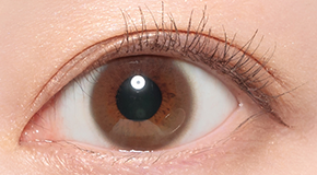 LENS LiST ファジーブラウン着用画像