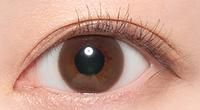 LENS LiST リッチブラウン着用画像