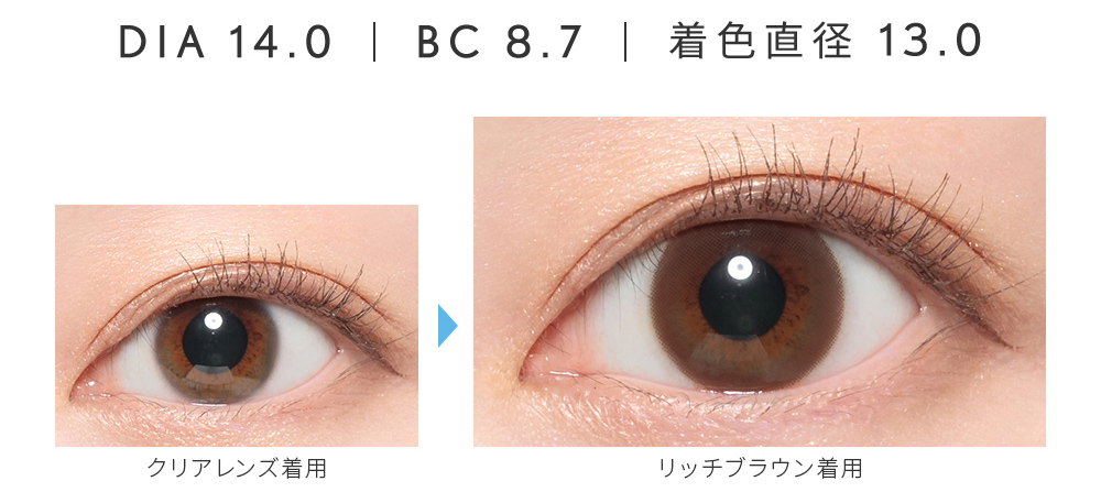 DIA14.0 BC8.7 着色直径13.0