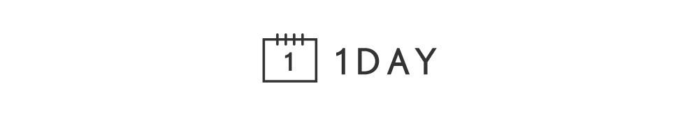 1DAY