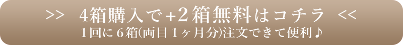 4箱購入で2箱無料はコチラ 1回に6箱(両目1か月分)注文できて便利