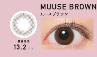 MUUSE BROWN ムースブラウン