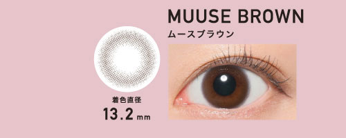 MUUSE BROWN ムースブラウン