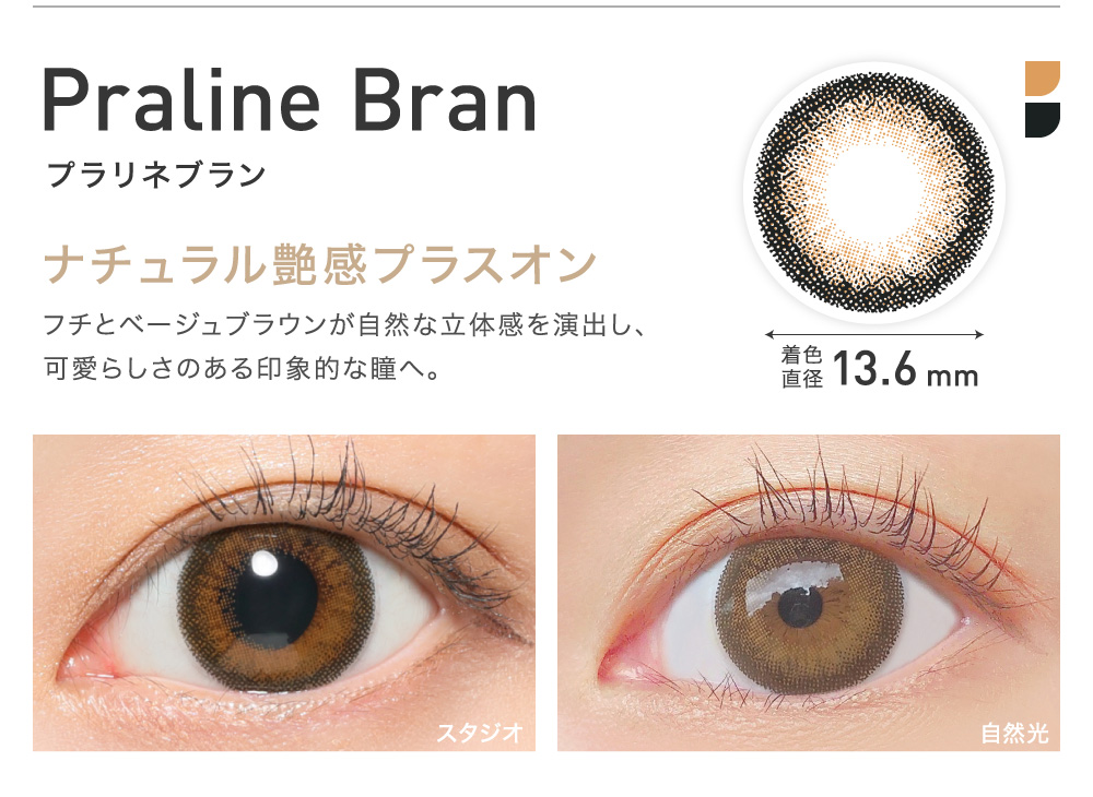 ナチュラル艶感プラスオン Praline Bran プラリネブラン
