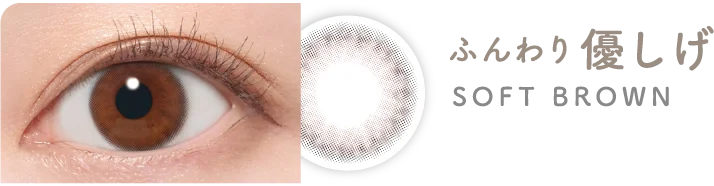 ふんわり優しげ SOFT BROWN ソフトブラウン