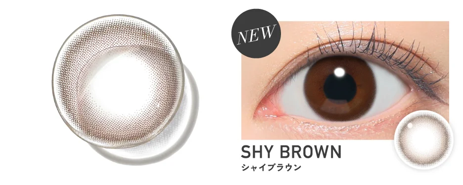 シャイブラウン