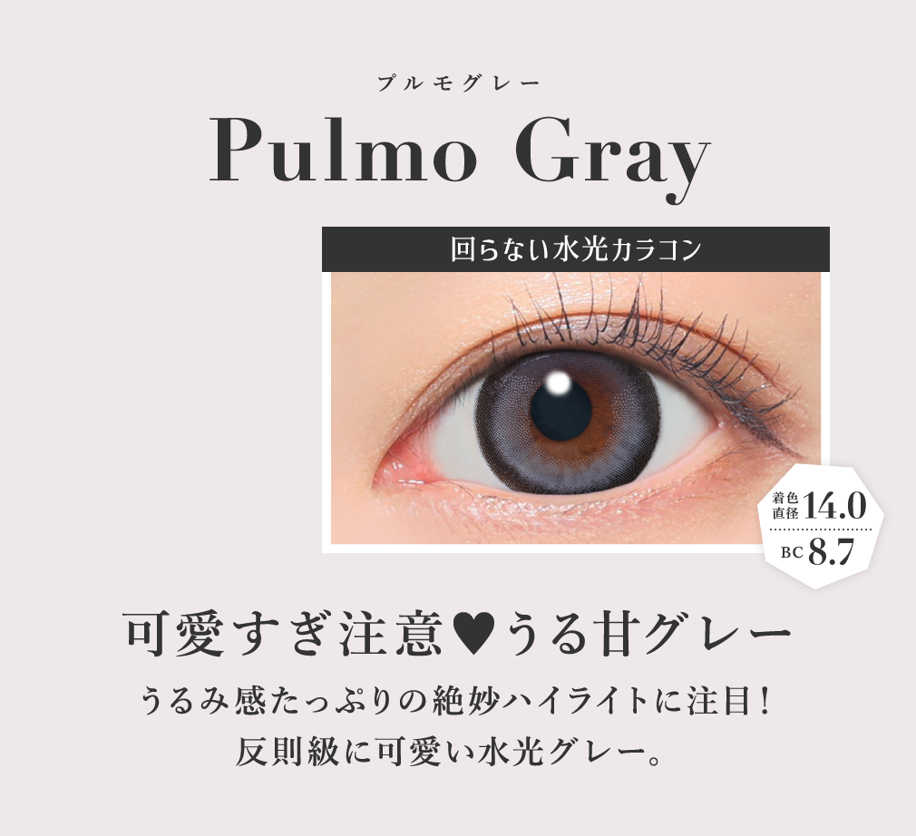 プルモグレー 可愛すぎ注意 うる甘グレー