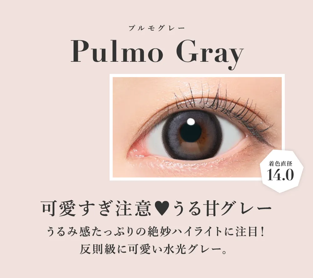プルモグレー 可愛すぎ注意 うる甘グレー