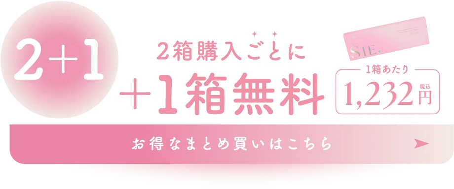 2箱購入ごとに1箱無料 1,232円(税込)