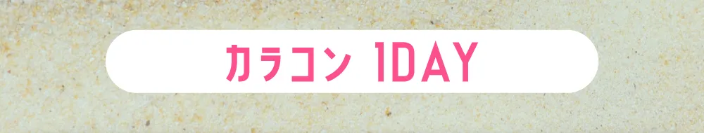 カラコン1DAY