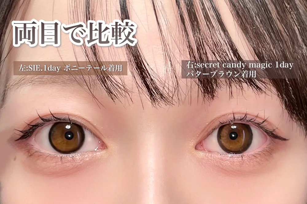 両目で比較