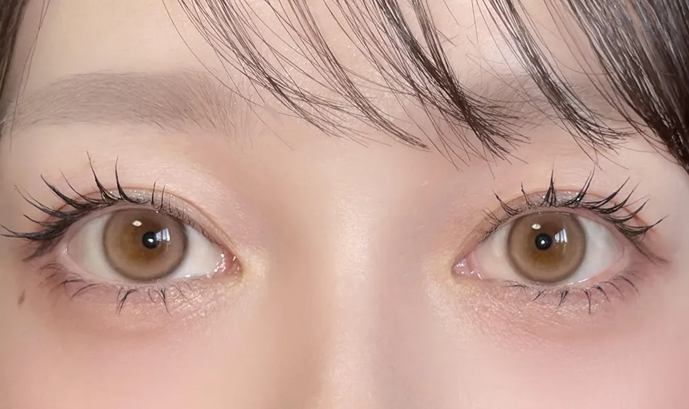 LilMe 1day テディハグ 着用画像