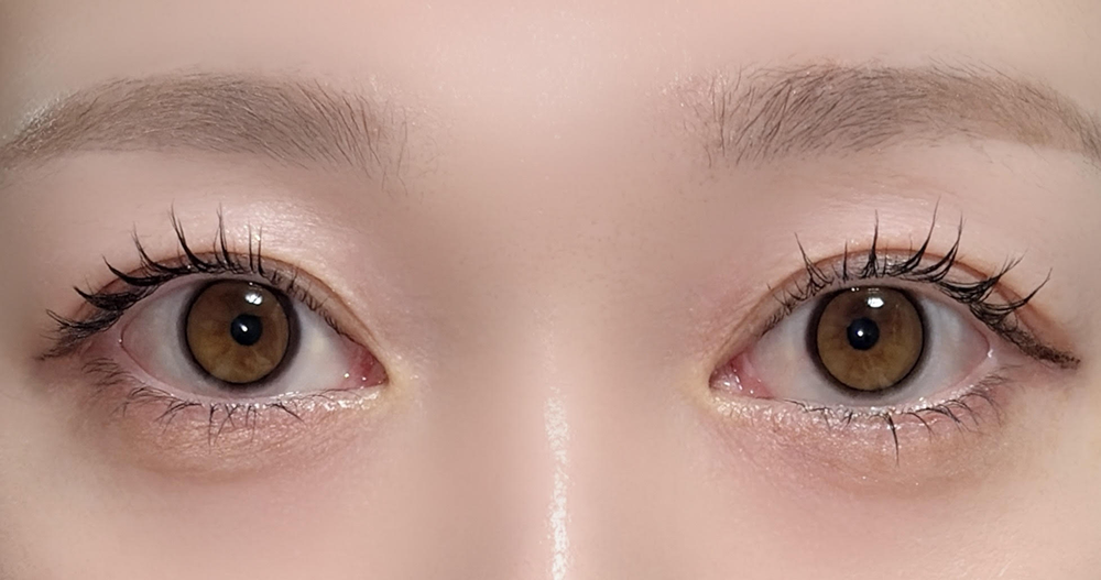 ReVIA 1day COLOR/ピュアグロー 着用画像