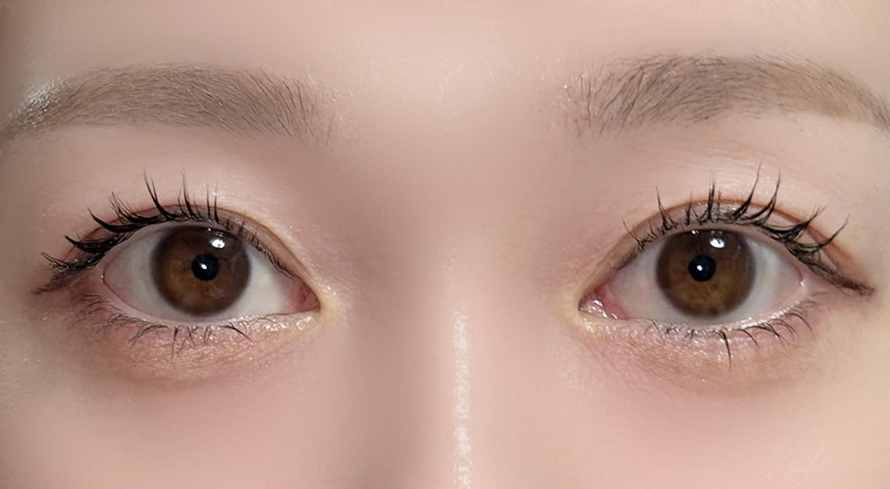 ReVIA 1day CIRCLE/ヌイブラウン 着用画像