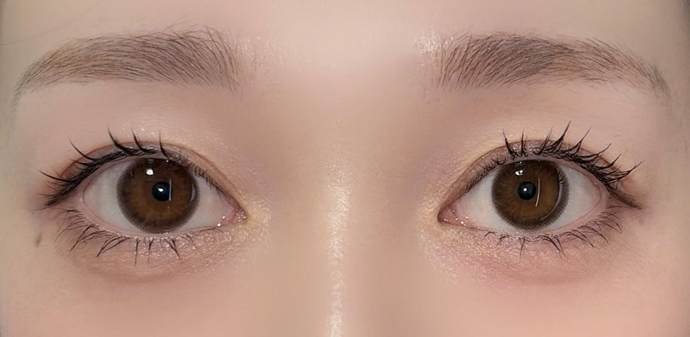 サークルレンズ/ピュアリーブラウン