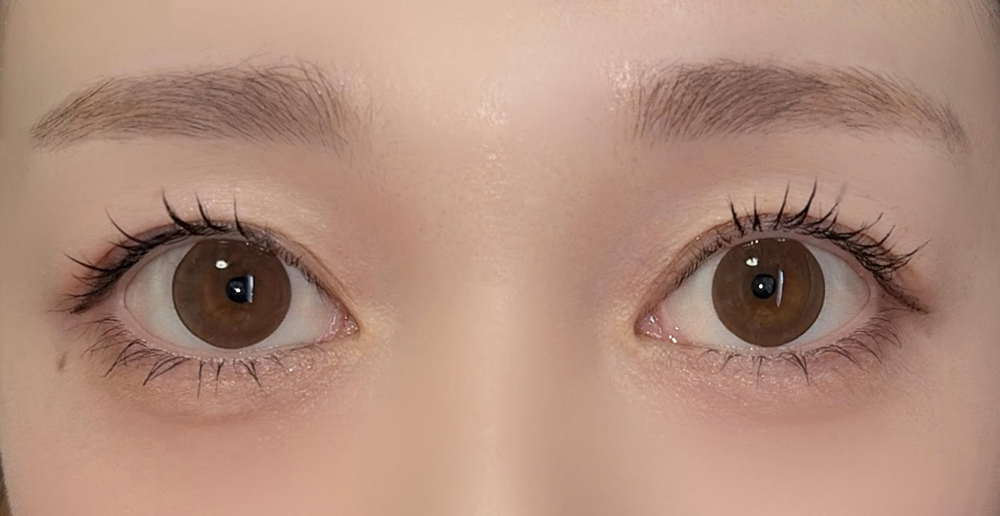 サークルレンズ/ベアリーブラウン 着用画像