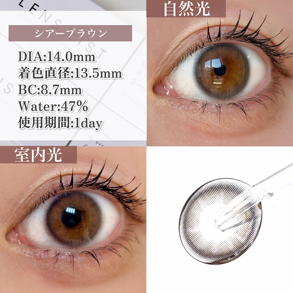 カラーレンズ/シアーブラウン