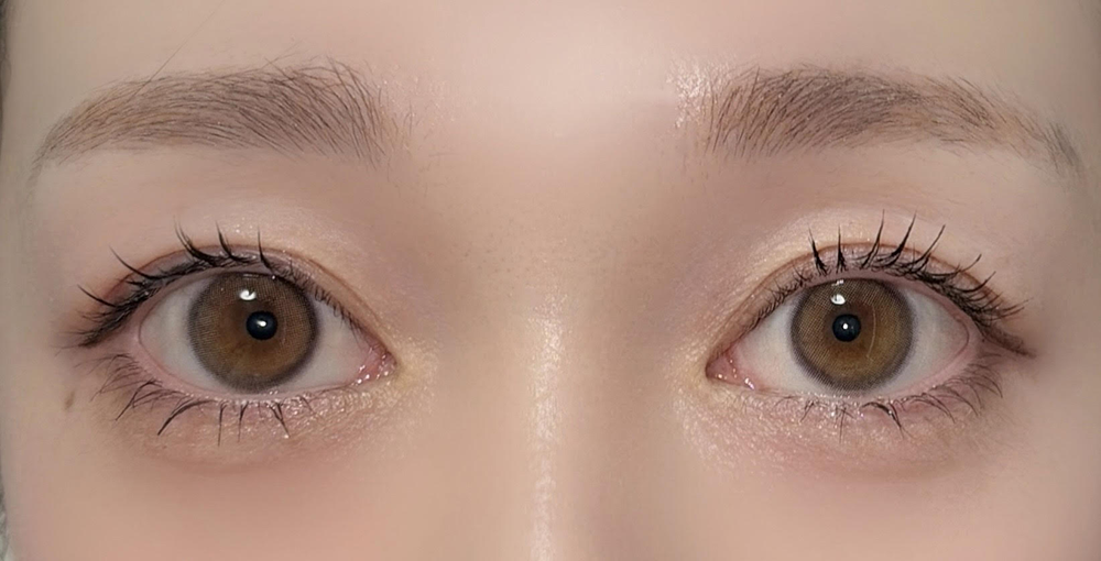 カラーレンズ/シアーブラウン 着用画像