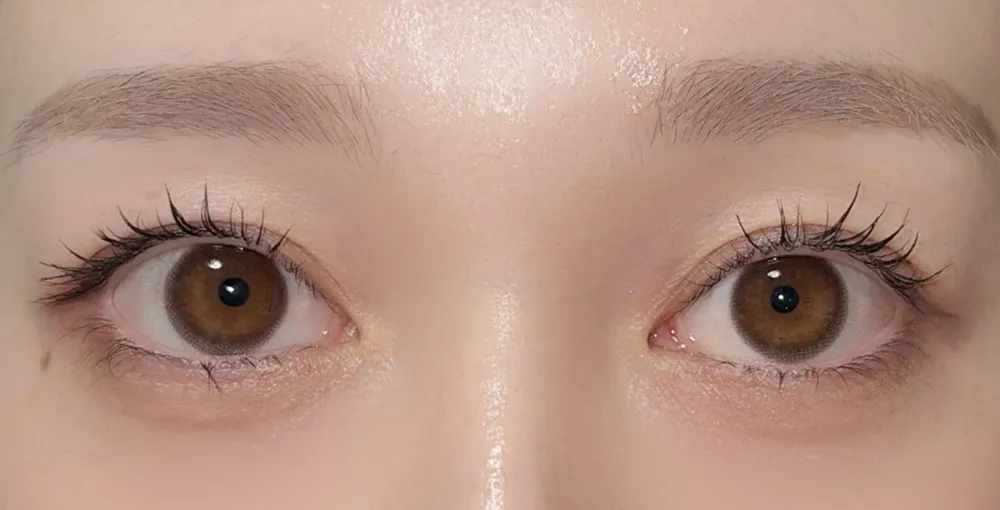 LENS LiST 1day/ピュアリーブラウン 着用画像