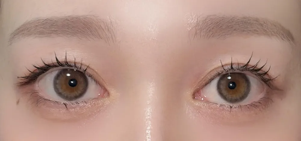 LENS LiST 1day/モカグレー 着用画像