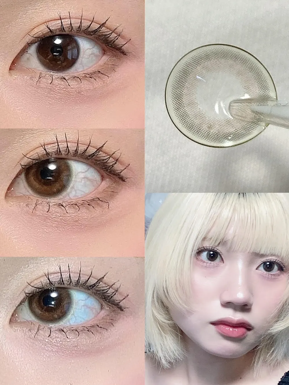 Purity CIRCLE 1day（ピュアリティサークルワンデー）MORE BROWN モアブラウン