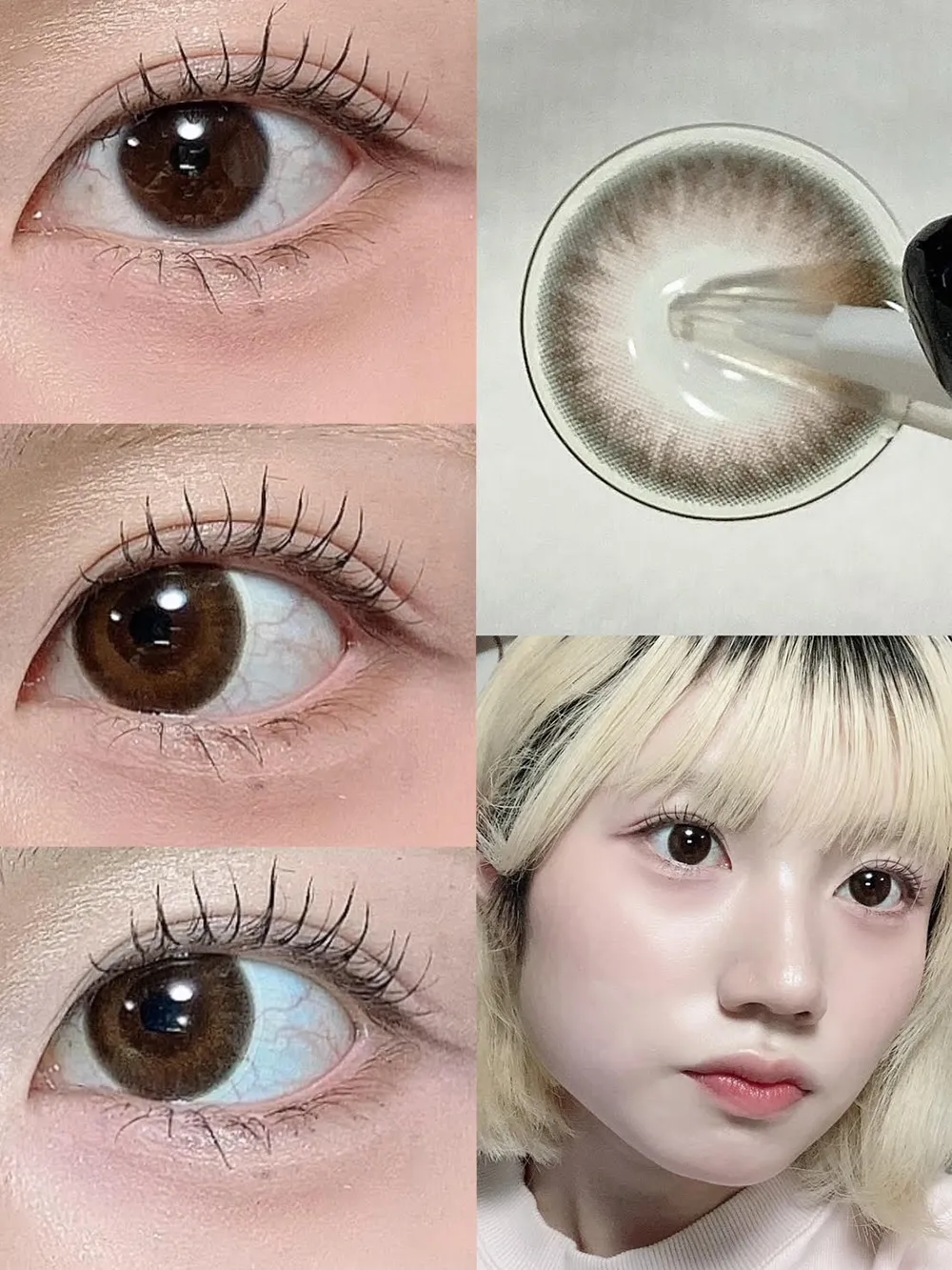 candymagic 1day(キャンディーマジック ワンデー) MARRIAGE MOCA(マリアージュモカ)